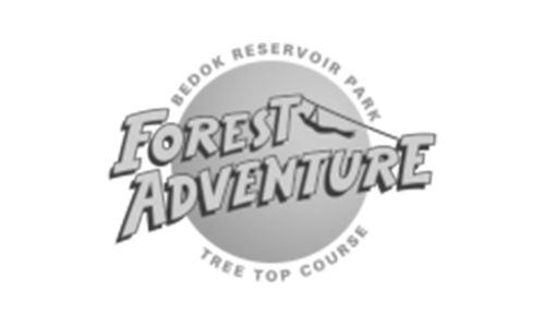 Forest-Adventure
