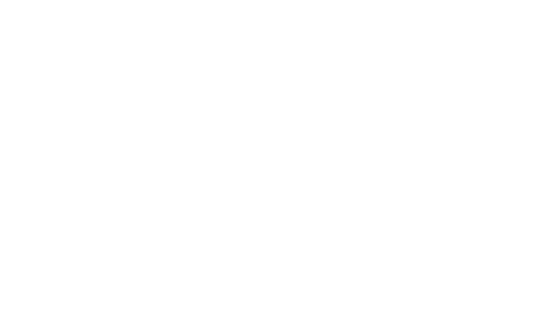 PestBusters-Full-Logo-Chrome-2