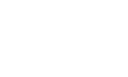 Spire-Ortho-2
